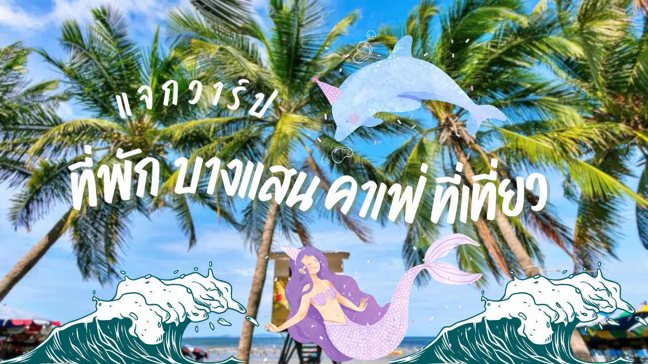 บทความ